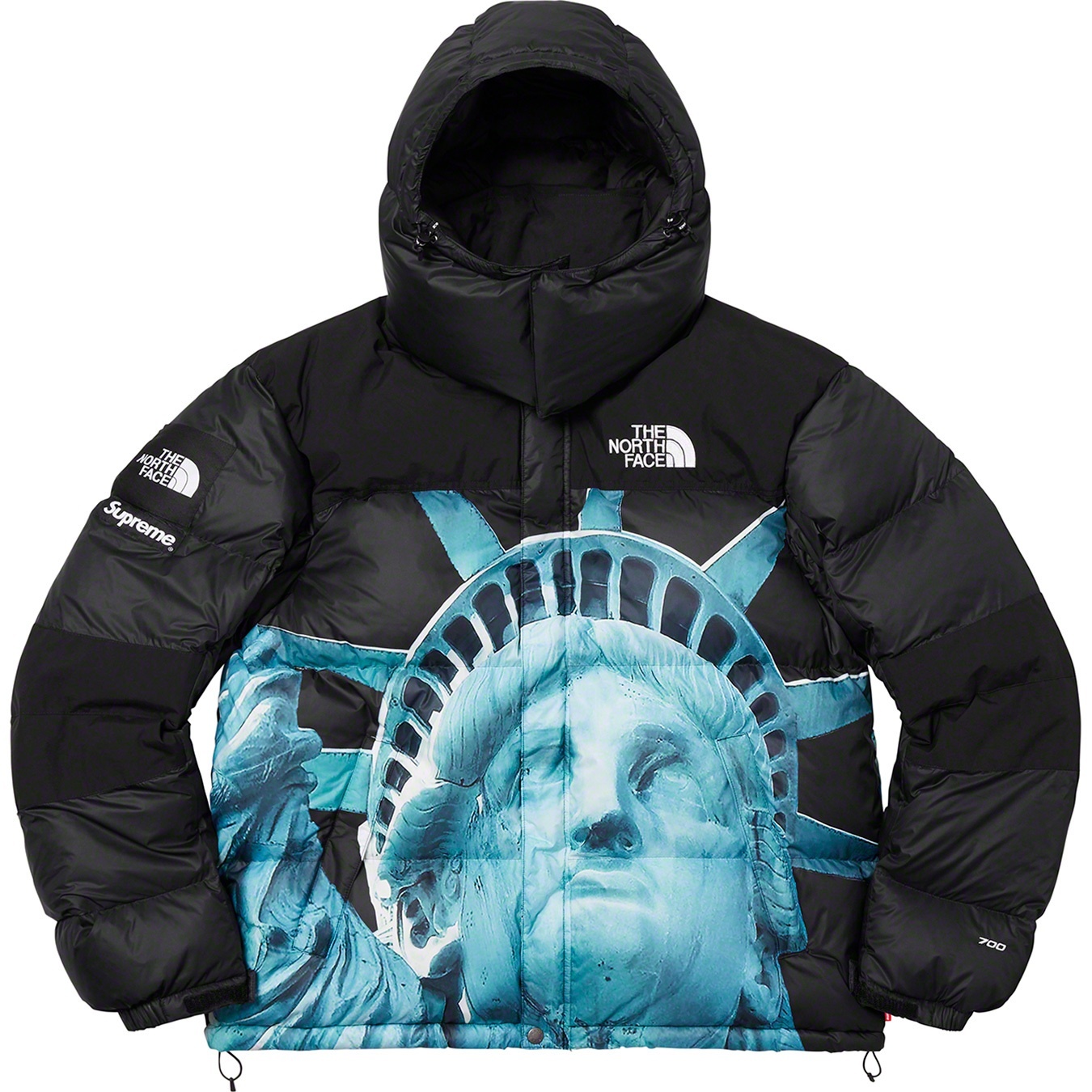 Supreme®/The North Face® Statue of Liberty Baltoro Jacket view 11
